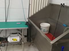 -利又安动物医院··老年病·猫科犬科·中兽医