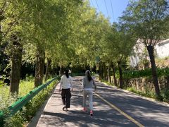-王顺山国家森林公园