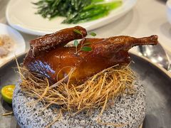 鸽鸽鸽鸽子-海宁铂尔曼酒店紫荆中餐厅