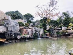 -东莞植物园