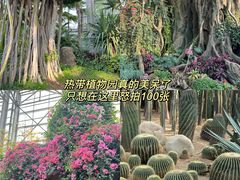 -祥源·阜阳生态乐园