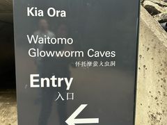 -怀托摩萤火虫洞