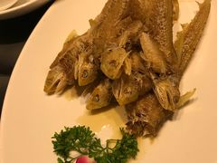 -上海会馆(香港名都店)