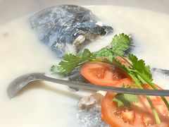 -全乐鱼馆·淳牌有机鱼直营店