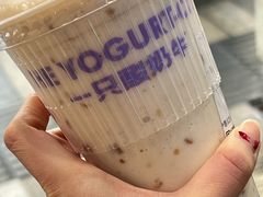 -一只酸奶牛(春熙路店)