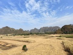 -明仕田园