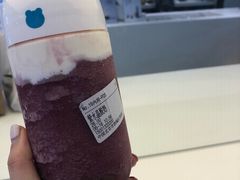 -兰熊鲜奶(西直门凯德mall店)