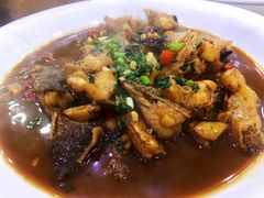 -全乐鱼馆·淳牌有机鱼直营店
