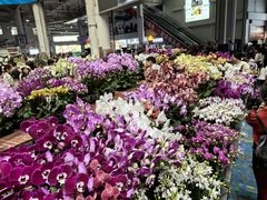 -麻路成都火锅(柏威年店)