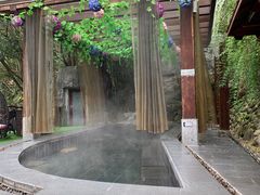 -宜春明月山维景国际温泉度假酒店