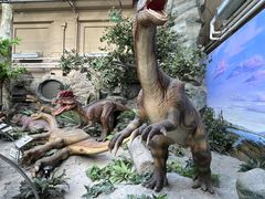 -国家自然博物馆