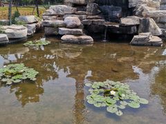 -羊亭河湿地公园