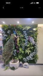 -北京炫美医疗美容