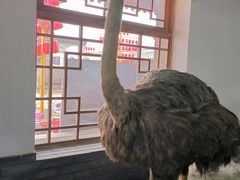 -河北村民俗体验园