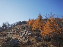 -北京鹫峰国家森林公园