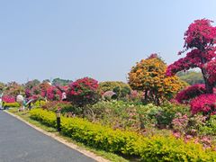 -东莞植物园
