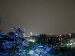 -飞凤山奥体公园