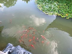 -芥子园