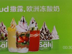 -Salud撒露欧洲冻酸奶(北苑上品店)