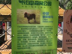 -长白岛森林公园