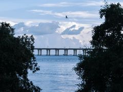 -宝安西湾红树林湿地公园