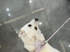 -贝利宠物医院·骨科·眼科·肿瘤转诊中心(南坪诊疗中心)