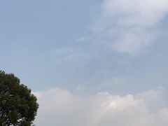 -上海月湖雕塑公园