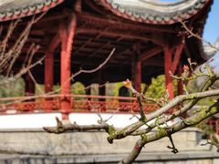 -采石矶景区