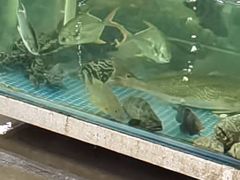 -新欢海鲜坊(赖屋店)