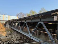 -浦口码头(轮渡站)