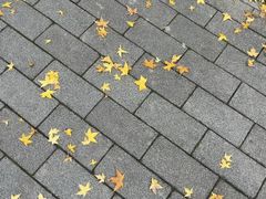 -西二旗(地铁站)