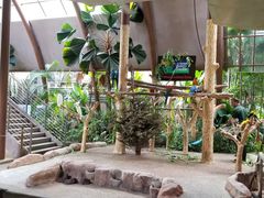 -新加坡飞禽公园