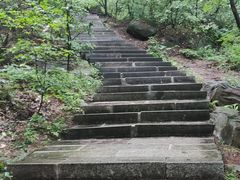 -吉林市朱雀山国家森林公园