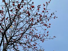 -怡海公园(桂城街道)