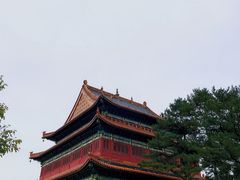 -磬锤峰森林公园
