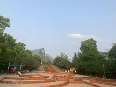 -南山植物园