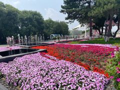 -沈阳植物园
