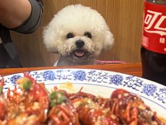 -红军龙虾(河柏街店)