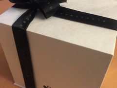 -BLACKSWAN黑天鹅(环球店)