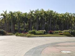 -深圳国际园林花卉博览园