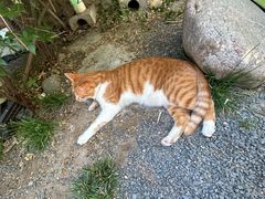 -南枝小馆(银鱼巷店)