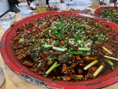 -东吴霸王兔(松青路店)