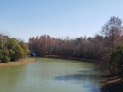 -上海海湾国家森林公园