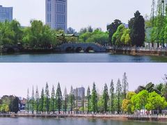 -翠湖公园