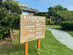 -鹿嘴山庄