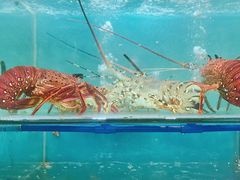 -南海渔家•海鲜•正宗海南菜(海棠湾店)