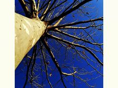 -首都师范大学(良乡校区)