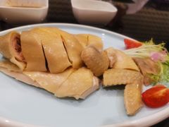 白切鸡-喜粤8号(四海唐人街店)