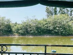 -老杨砂锅鱼庄