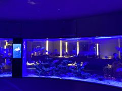 -上和臻品中国菜(花园街店)